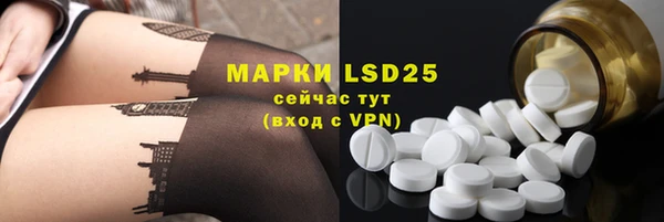ECSTASY Белая Холуница