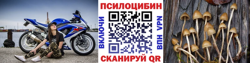 Псилоцибиновые грибы мухоморы  блэк спрут вход  Туапсе 