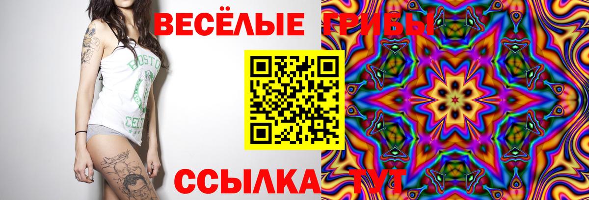 Псилоцибиновые грибы ЛСД Туапсе